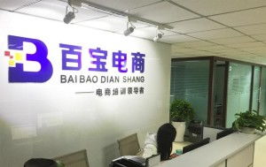 成都百寶教育咨詢 專業(yè)引領(lǐng)，成就未來(lái)教育之路