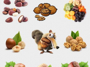 年貨盛宴 堅果干果海報設(shè)計素材全攻略